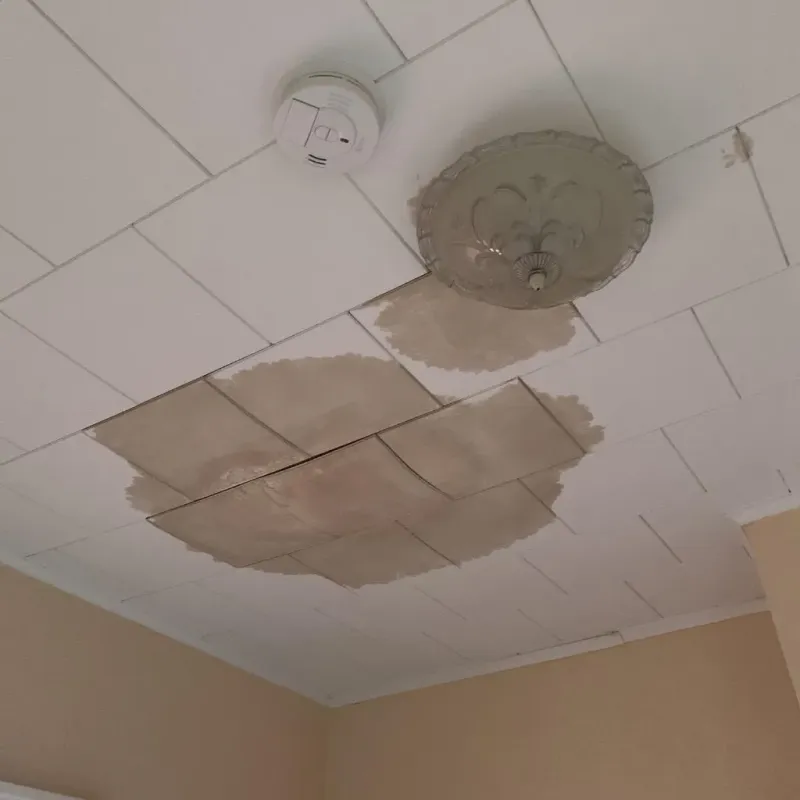 Ceiling Water Damage Repair in Gove County, KS