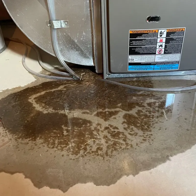 Pipe Burst and Leak Restoration in Gove County, KS