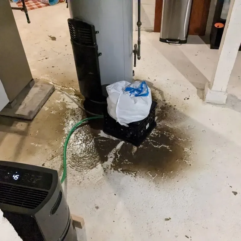 Sewage Backup Cleanup Service in Gove County, KS
